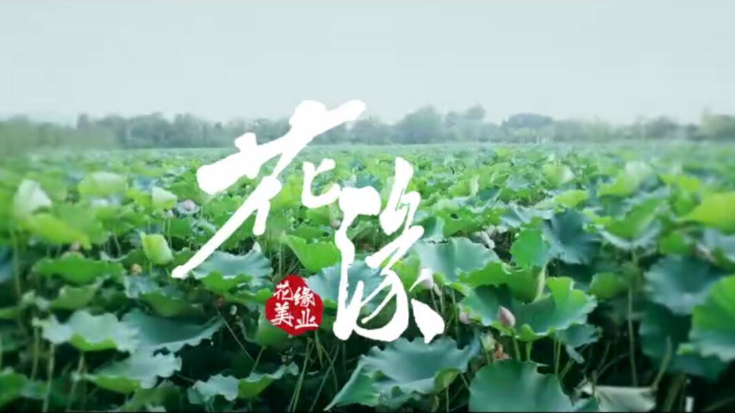【花緣主題曲】一生摯愛(ài)，與花結(jié)緣《花緣》